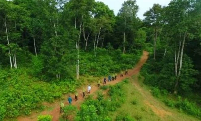 Thanh Hóa: Tổ chức rà soát, xác định diện tích rừng, chủ rừng, xây dựng bản đồ chi trả dịch vụ môi trường rừng năm 2025 trên địa bàn tỉnh.